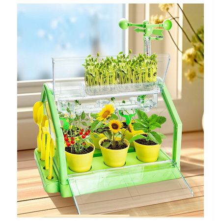 SZKLARNIA DLA DZIECI MINI OGRÓD PLANTACJA ROŚLIN ZIEMIA KWIATY ZESTAW DIY