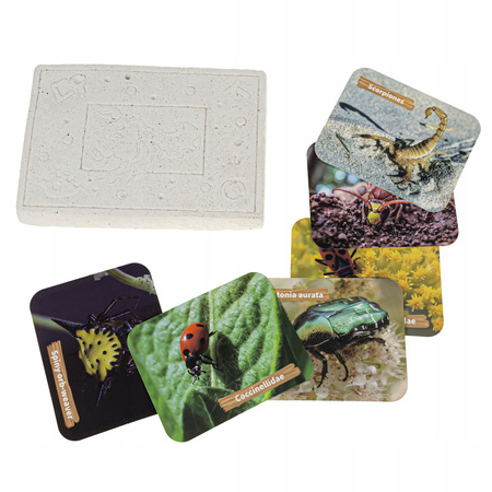 KOPALNIA BURSZTYNÓW Z OWADAMI MAŁY ARCHEOLOG WYKOPALISKA ZABAWKA EDUKACYJNA