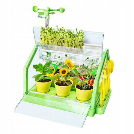 SZKLARNIA DLA DZIECI MINI OGRÓD PLANTACJA ROŚLIN ZIEMIA KWIATY ZESTAW DIY
