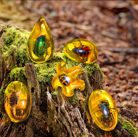 KOPALNIA BURSZTYNÓW Z OWADAMI MAŁY ARCHEOLOG WYKOPALISKA ZABAWKA EDUKACYJNA