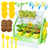 SZKLARNIA DLA DZIECI MINI OGRÓD PLANTACJA ROŚLIN ZIEMIA KWIATY ZESTAW DIY