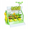 SZKLARNIA DLA DZIECI MINI OGRÓD PLANTACJA ROŚLIN ZIEMIA KWIATY ZESTAW DIY