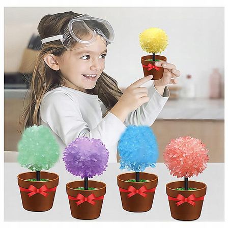 HODOWLA KRYSZTAŁÓW KWIATY ZABAWKA EDUKACYJNA DLA DZIECI KRYSZTAŁ KWIATKI