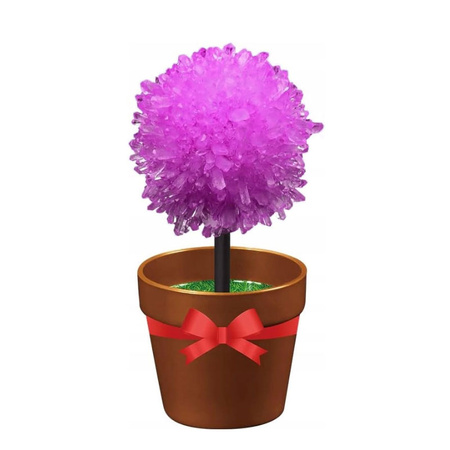 HODOWLA KRYSZTAŁÓW KWIATY ZABAWKA EDUKACYJNA DLA DZIECI KRYSZTAŁ KWIATKI