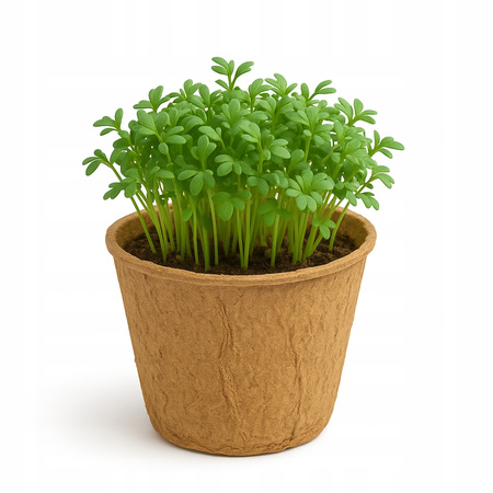 KIEŁKOWNICA MINI OGRÓD DLA DZIECI UPRAWA ROŚLIN TERMOMETR + AKCESORIA