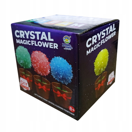 HODOWLA KRYSZTAŁÓW KWIATY ZABAWKA EDUKACYJNA DLA DZIECI KRYSZTAŁ KWIATKI